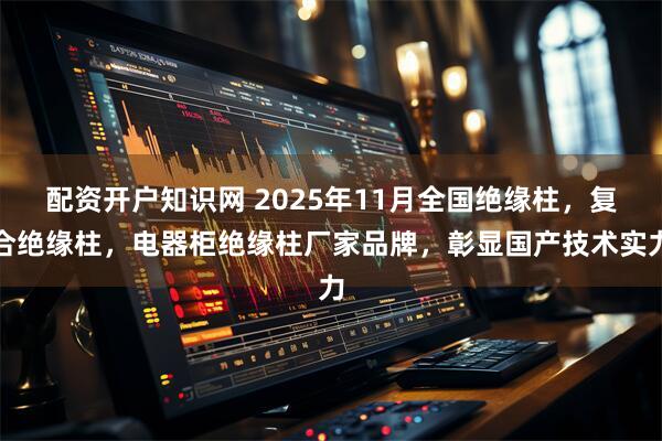 配资开户知识网 2025年11月全国绝缘柱，复合绝缘柱，电器柜绝缘柱厂家品牌，彰显国产技术实力