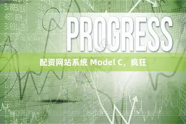 配资网站系统 Model C，疯狂
